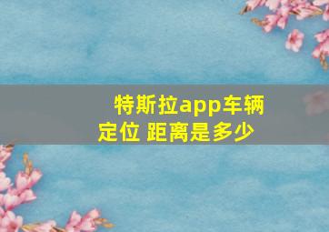 特斯拉app车辆定位 距离是多少